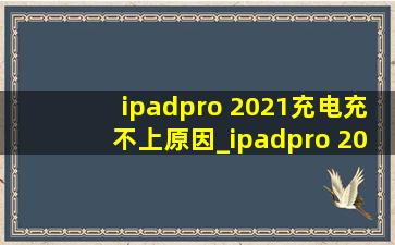 ipadpro 2021充电充不上原因_ipadpro 2021 12.9寸